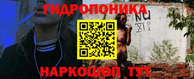 ешки Боровичи